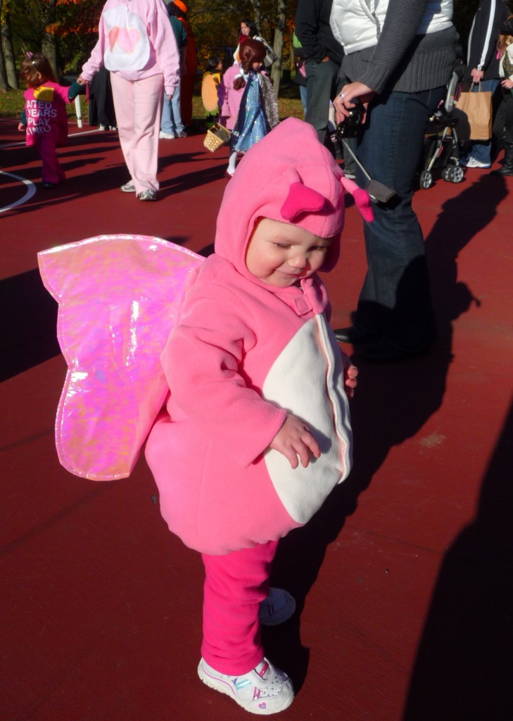 pinkbug